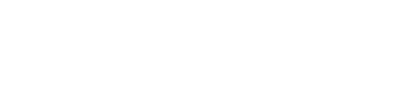 Meerkat Scout